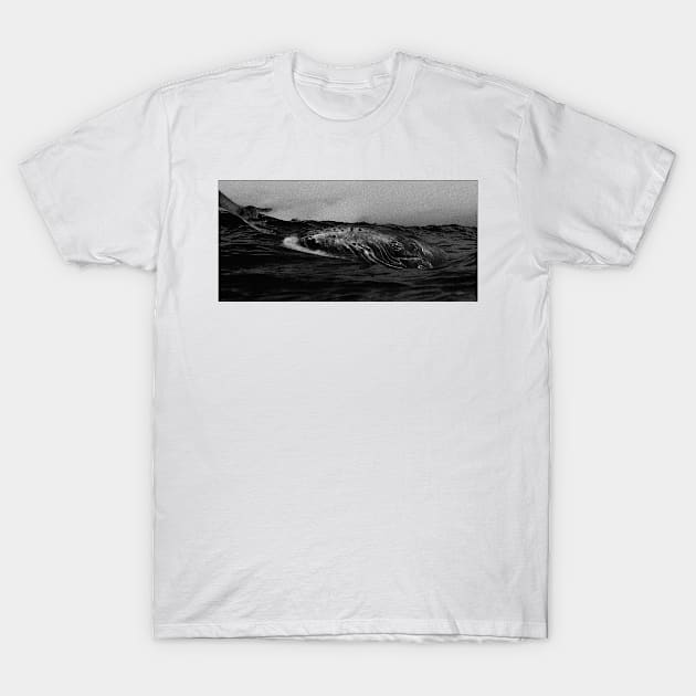 whale b&w T-Shirt by ZLstore